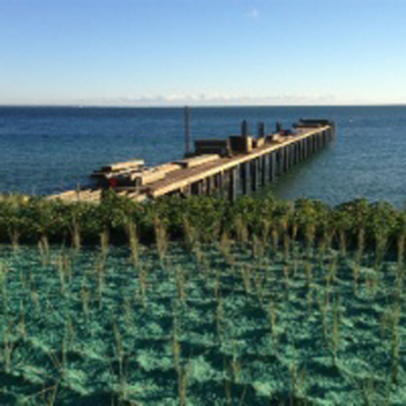 ecologicalLandscapes