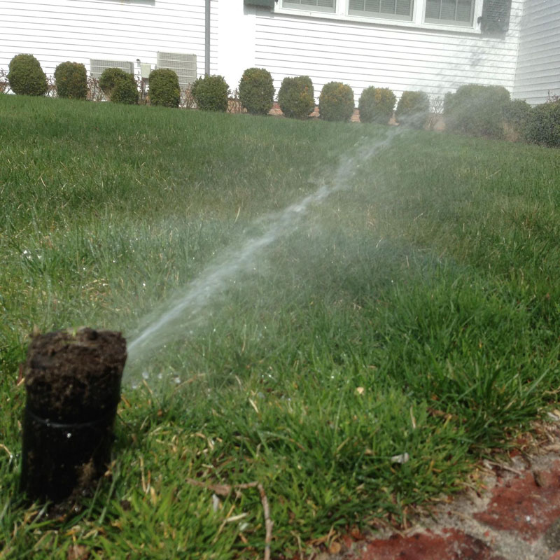sprinkler spraying